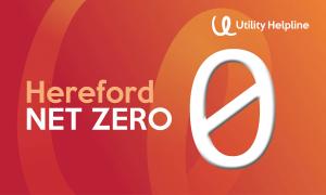 Net Zero Services