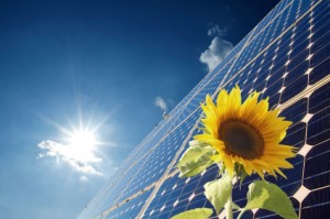 SONY DSC solar panels lower electricity charges