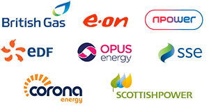 British Gas, E-On, Npower, EDF, Opus Energy, SSE, Corona Energy, scottish power